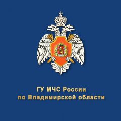 Канал МЧС Владимирской области в мессенджере MAX — 1 155 подписчиков