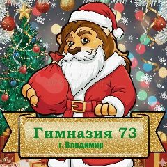 Канал МАОУ ГИМНАЗИЯ 73 г. Владимира в мессенджере MAX — 215 подписчиков