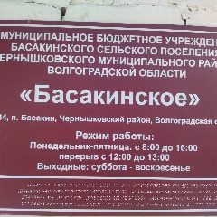 Канал МБУ Басакинское в мессенджере MAX — 115 подписчиков