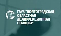 Канал ГАУЗ "ВОДС" в мессенджере MAX — 33 подписчика