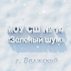 Канал МОУ СШ № 14 «Зелёный шум» в мессенджере MAX — 1 121 подписчик