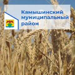 Канал Администрация Камышинского муниципального района Волгоградской области в мессенджере MAX — 282 подписчика