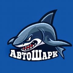 Канал АВТОШАРК | МАГАЗИНЫ в мессенджере MAX — 63 765 подписчиков