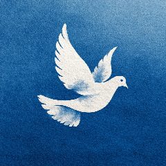 Канал Главное управление по погребению и похоронному делу Вологодской области в мессенджере MAX — 24 подписчика