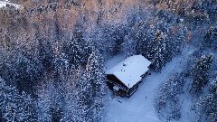 Канал БУ ВО "Облохотдирекция" в мессенджере MAX — 33 подписчика