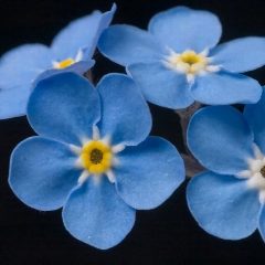 Канал МДОУ №58 "Незабудка" в мессенджере MAX — 32 подписчика
