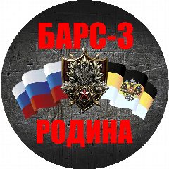 Канал БАРС-3 «Родина» в мессенджере MAX — 1 049 подписчиков
