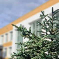 Канал Школа родная, девятая наша в мессенджере MAX — 552 подписчика