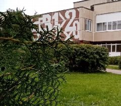 Канал МАОУ "Средняя общеобразовательная школа № 17" в мессенджере MAX — 1 312 подписчиков