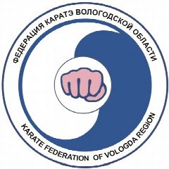 Канал Федерация каратэ Вологодской области в мессенджере MAX — 141 подписчик