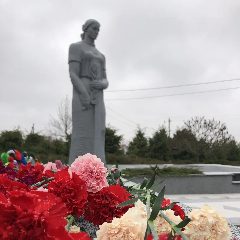 Канал Администрация Репьёвского муниципального района в мессенджере MAX — 540 подписчиков