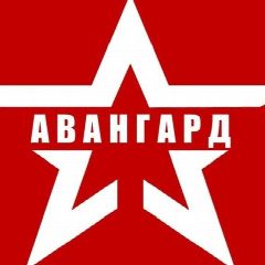 Канал ГАУДО Воронежской области "УМЦ "Авангард" в мессенджере MAX — 34 подписчика