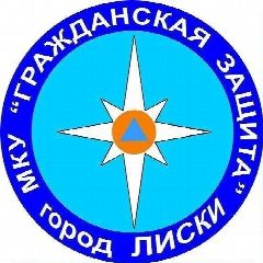 Канал МКУ " Гражданская защита" в мессенджере MAX — 57 подписчиков