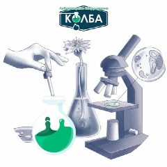 Канал ЛАБА 24/7 в мессенджере MAX — 37 подписчиков