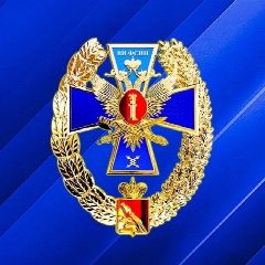 Канал Воронежский институт ФСИН России в мессенджере MAX — 634 подписчика