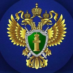 Канал Прокуратура Воронежской области в мессенджере MAX — 2 987 подписчиков