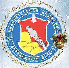 Канал ИЗБИРКОМ Воронежской области в мессенджере MAX — 5 636 подписчиков