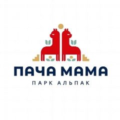 Канал Парк альпак ПАЧА МАМА в мессенджере MAX — 237 подписчиков