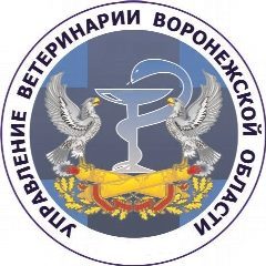 Канал Управление ветеринарии Воронежской области в мессенджере MAX — 291 подписчик