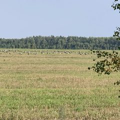 Канал Департамент природных ресурсов и экологии Ивановской области в мессенджере MAX — 65 подписчиков