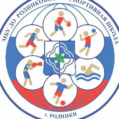 Канал МБУ ДО "Родниковская спортивная школа" в мессенджере MAX — 202 подписчика