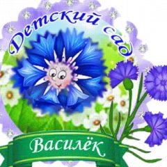 Канал МКДОУ детский сад "Василёк" в мессенджере MAX — 66 подписчиков
