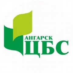 Канал Библиотеки Ангарска в мессенджере MAX — 87 подписчиков
