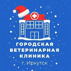Канал Иркутская ГСББЖ🐾 в мессенджере MAX — 201 подписчик