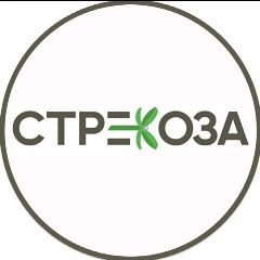 Канал СТРЕКОЗА | семейный гипермаркет в мессенджере MAX — 2 235 подписчиков
