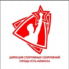 Канал Дирекция спортивных сооружений города Усть-Илимска в мессенджере MAX — 27 подписчиков