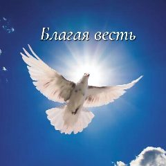 Канал БЛАГАЯ ВЕСТЬ. Школа Православия. в мессенджере MAX — 946 подписчиков