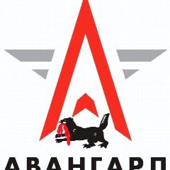 Канал ГБУ ДО ИО "Региональный центр "Авангард" в мессенджере MAX — 18 подписчиков