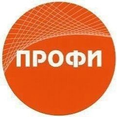 Канал "Профи" деловое сообщество в мессенджере MAX — 345 подписчиков
