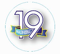 Канал МАОУ СОШ №19 в мессенджере MAX — 856 подписчиков