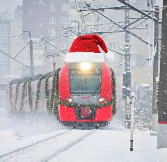 Канал Калининградская Ласточка в мессенджере MAX — 1 742 подписчика