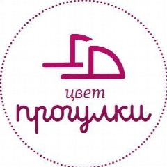Канал Цвет прогулки в мессенджере MAX — 20 подписчиков