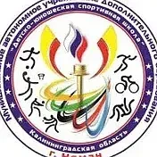 Канал Детско-юношеская спортивная школа г. Неман в мессенджере MAX — 28 подписчиков