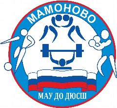 Канал ДЮСШ г. Мамоново в мессенджере MAX — 70 подписчиков