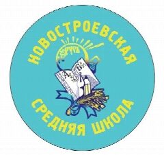 Канал Новостроевская средняя школа в мессенджере MAX — 451 подписчик