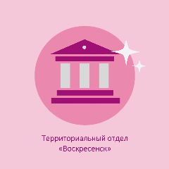Канал Территориальный отдел "Воскресенск" в мессенджере MAX — 28 подписчиков