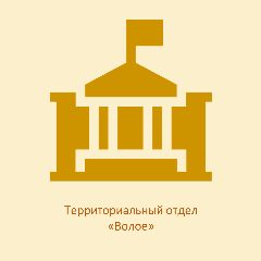 Канал Территориальный отдел "Волое" в мессенджере MAX — 17 подписчиков