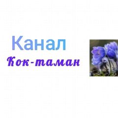 Канал МКДОУ "Кок-Таман" в мессенджере MAX — 18 подписчиков