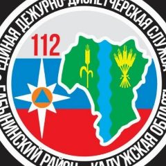 Канал ЕДДС Бабынинского округа в мессенджере MAX — 527 подписчиков