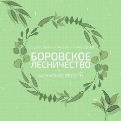 Канал ГКУ КО "Боровское лесничество" в мессенджере MAX — 11 подписчиков