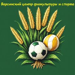Канал Ворсинский центр физкультуры и спорта в мессенджере MAX — 50 подписчиков