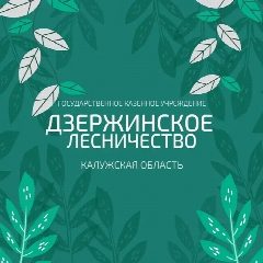 Канал ГКУ КО «Дзержинское лесничество» в мессенджере MAX — 28 подписчиков