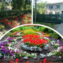 Канал МКОУ "Которская ООШ" в мессенджере MAX — 27 подписчиков
