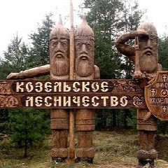 Канал ГКУ КО "Козельское лесничество" в мессенджере MAX — 13 подписчиков