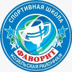 Канал СШ ,,Фаворит» г. Козельск в мессенджере MAX — 82 подписчика