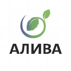 Канал АЛИВА - ивовый питомник растений. Плетёные деревья. в мессенджере MAX — 148 подписчиков